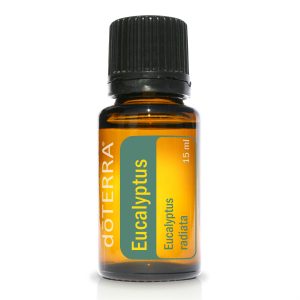 Eukaliptusz